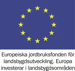 EU flagga, med text